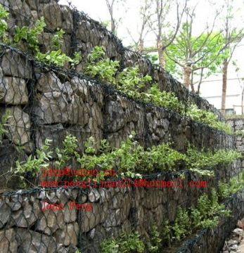 Gabion Cages